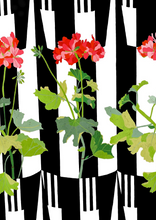 Load image into Gallery viewer, 'Jazzy Geraniums' Greetings Card