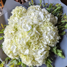 Load image into Gallery viewer, White Hydrangea