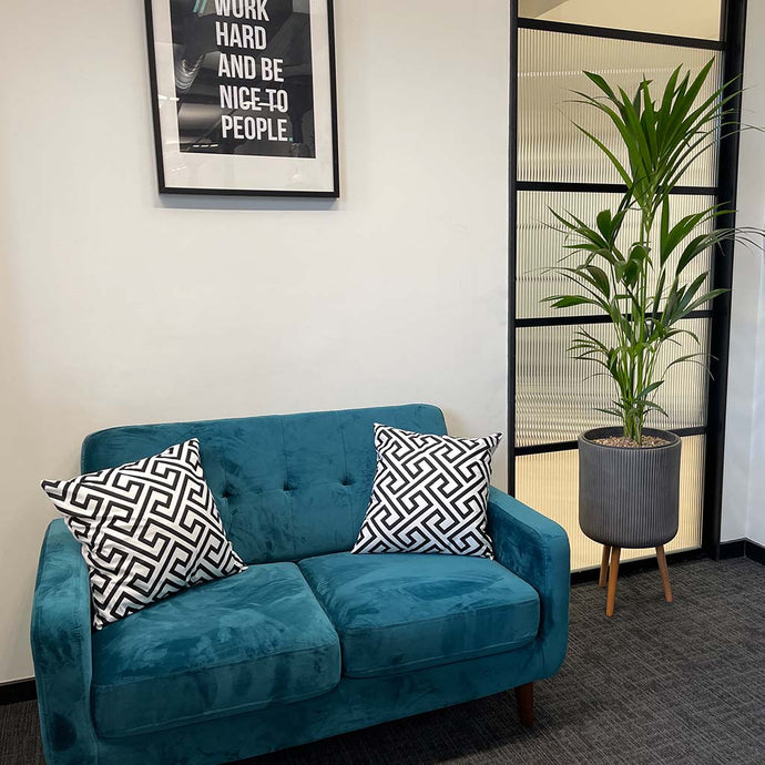 Office Plants for Creative Northern Quarter Agency 🪴