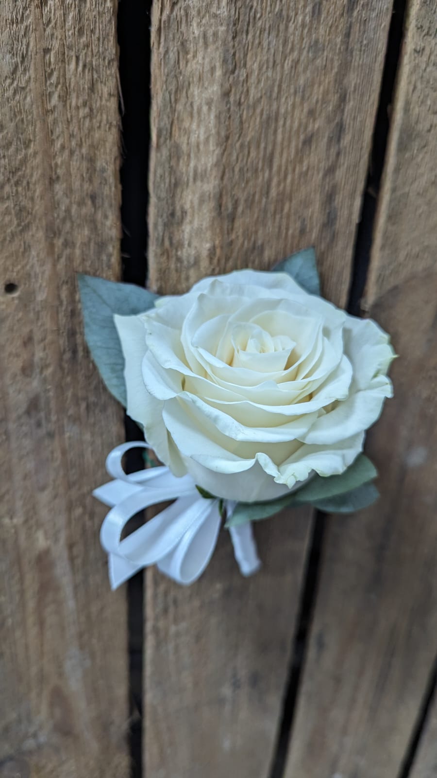 Rose Buttonhole