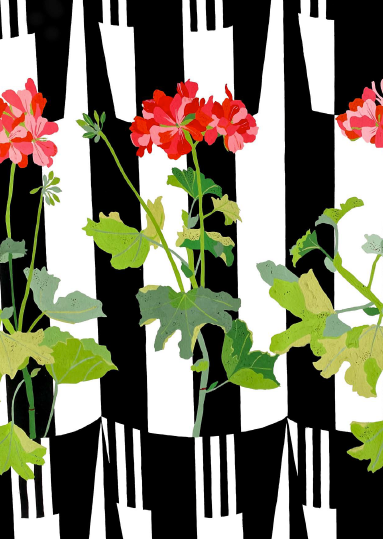 'Jazzy Geraniums' Greetings Card