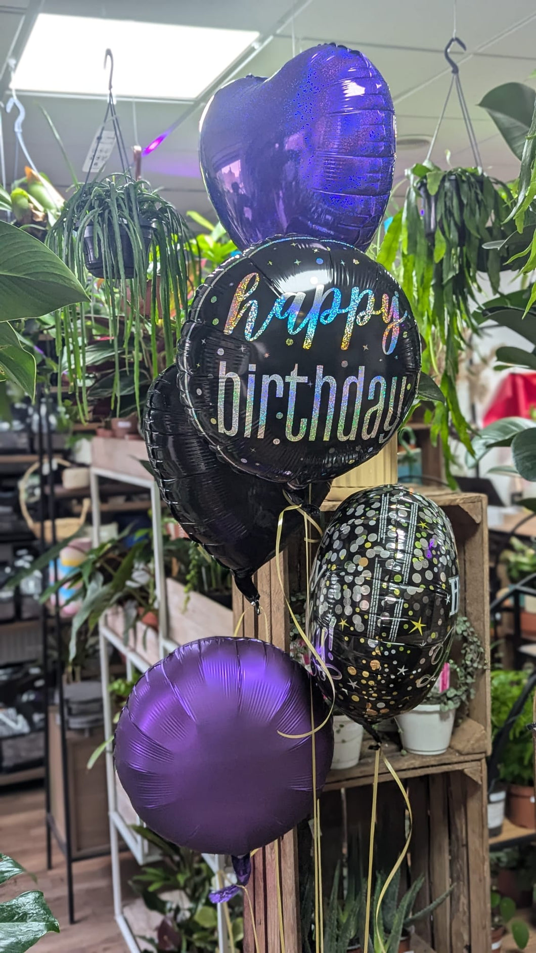 Cluster of 5 Helium Balloons - Occasions