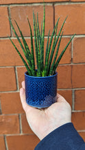 Load image into Gallery viewer, Sienna Pot - Blue
