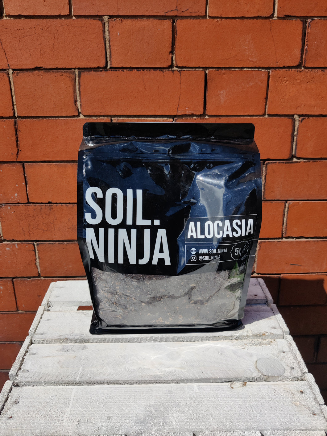 Alocasia 5L Soil. Ninja