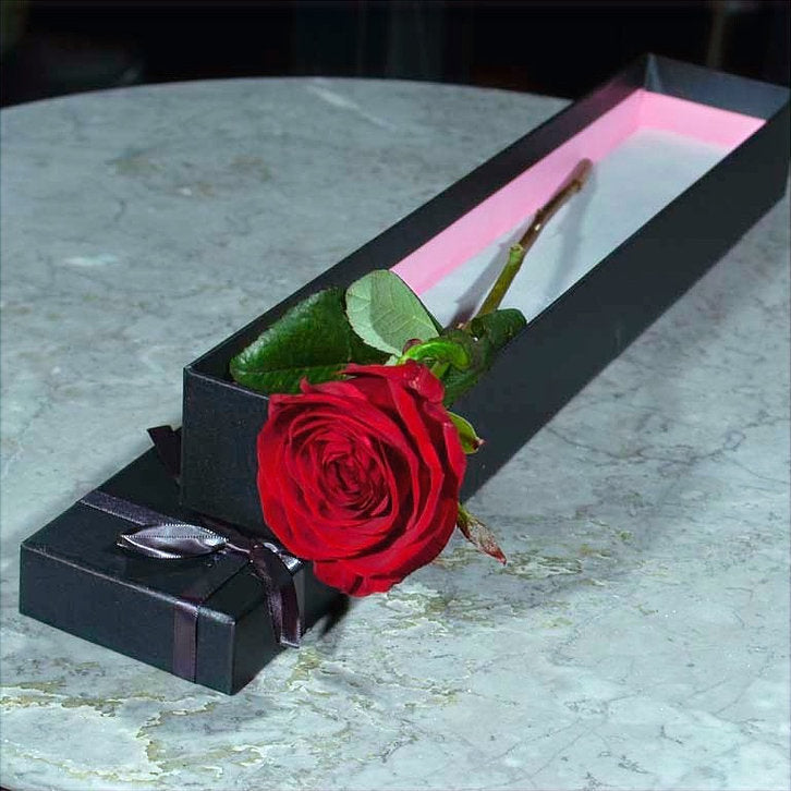Boxed Single Rose