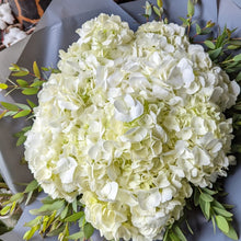 Load image into Gallery viewer, White Hydrangea
